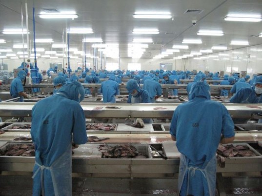 Industry Fish Production